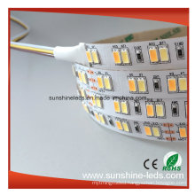Double Color Pw + Ww 600LED SMD5630 Samsung Chips LED Strip